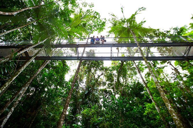Daintree Discovery Centre Single Pass - What Makes the Daintree Discovery Centre Stand Out?
