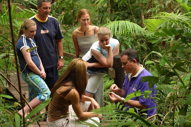Daintree Discovery Centre Single Pass - Who Should Consider This Tour?