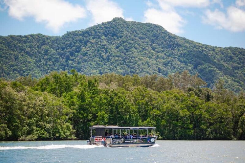 Daintree: Guided Daintree River Wildlife Cruise - Practicalities: What You Need to Know