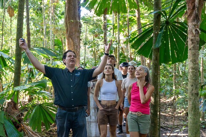 Daintree, Mossman Gorge and Wildlife Tour from Cairns - Introduction: Discovering the Daintree Eco-Tour from Cairns