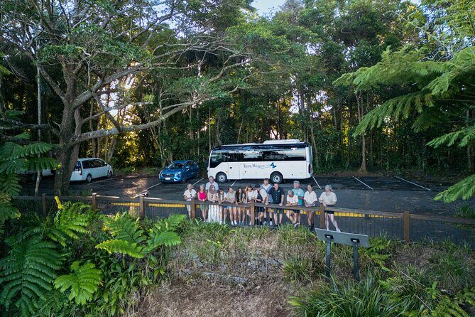 Daintree, Mossman Gorge and Wildlife Tour from Cairns - The Sum Up