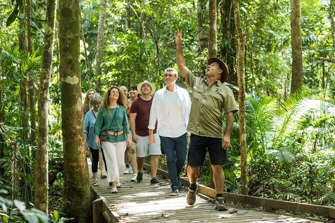Daintree Rainforest and Cape Tribulation Full Day Tour - A Detailed Look at the Tour Itinerary