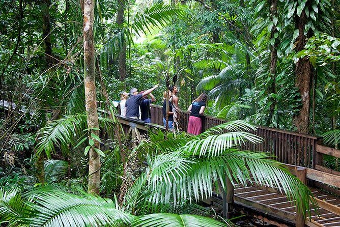 Daintree Rainforest and Mossman Gorge: Full Day Tour - Who is This Tour Best Suited For?