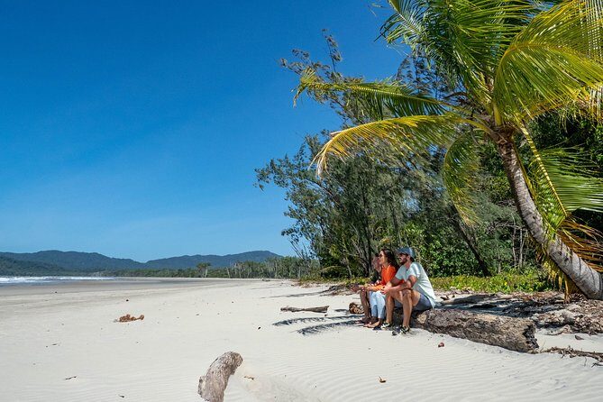 Daintree Rainforest and Mossman Gorge: Full Day Tour - An In-Depth Look at the Experience