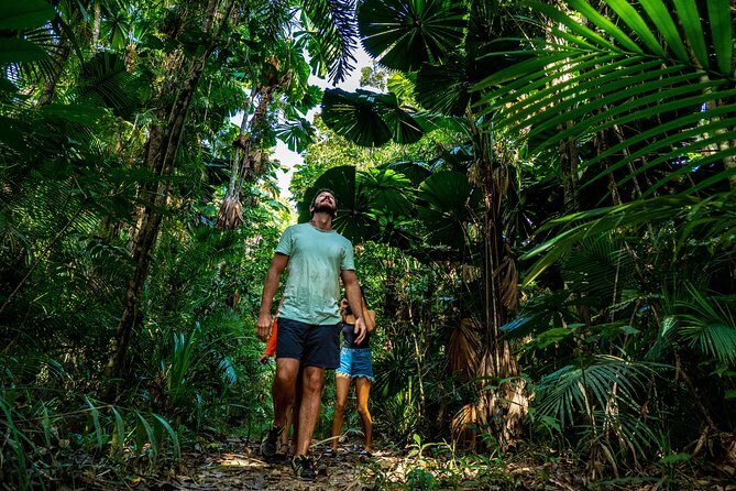 Daintree Rainforest and Mossman Gorge: Full Day Tour - Frequently Asked Questions