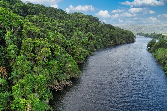Daintree River Cruise - Final Thoughts: Who Will Truly Appreciate This Tour?