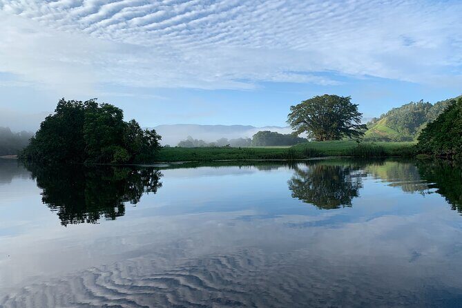 Daintree River 'Dawn' Cruise with the Daintree Boatman - Practical Tips for Travelers
