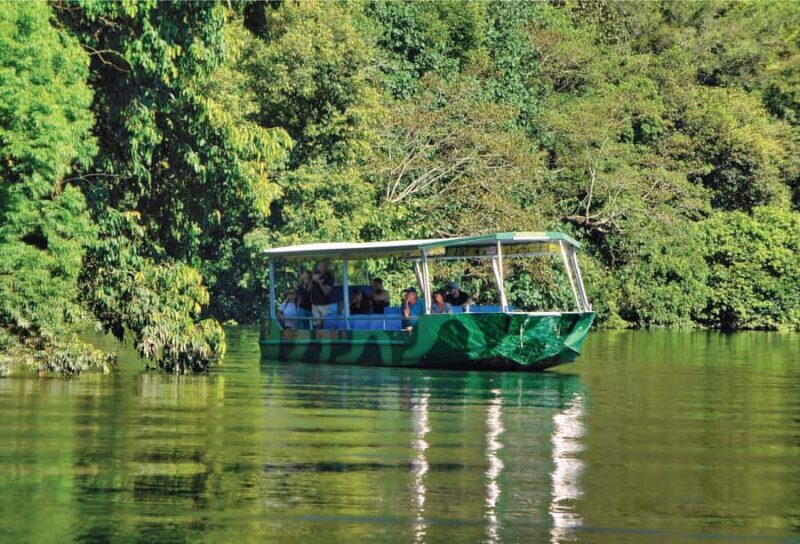 Daintree: River Rainforest Crocodile & Wildlife Cruise (DV) - Who Should Consider This Tour?