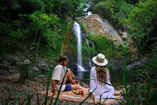 Daintree Sensations - Key Points