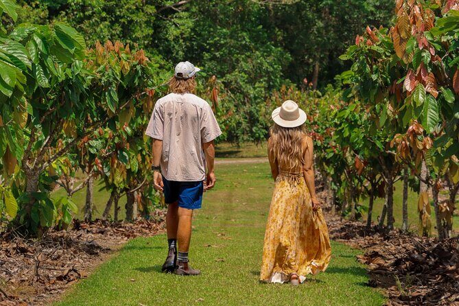 Daintree Sensations - An In-depth Look at the Daintree Sensations Tour