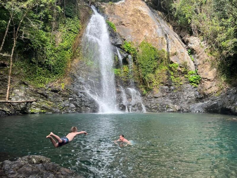 Daintree waters tour, all terrain vehicles and light lunch. - Key Points