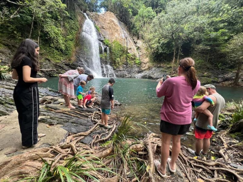 Daintree waters tour, all terrain vehicles and light lunch. - Why Consider the Daintree Waters Tour?