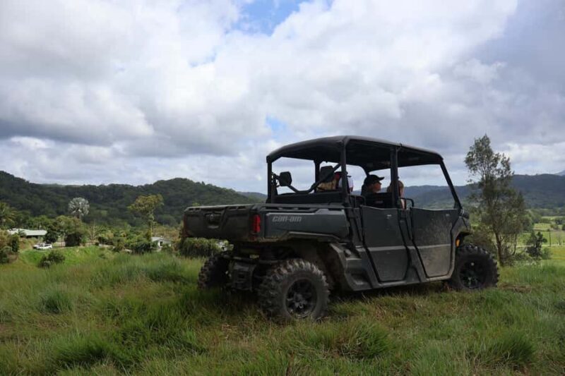 Daintree waters tour, all terrain vehicles and light lunch. - FAQ