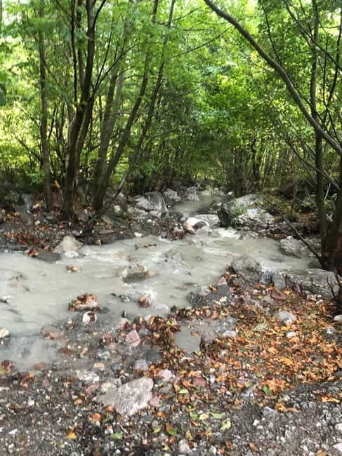 Dajti Cable Car and Shengjergj Waterfall Tour with Lunch - Who Will Love This Tour?
