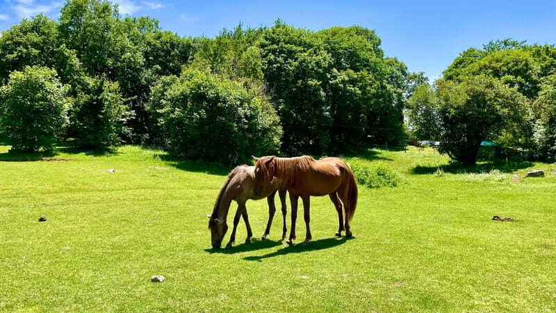 Dajti Mountain & Shengjergj Waterfall Day Trip on Land Rover - The Journey Begins: Setting Expectations