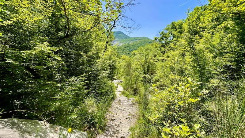 Dajti Mountain & Shengjergj Waterfall Day Trip on Land Rover - Who Should Consider This Tour?