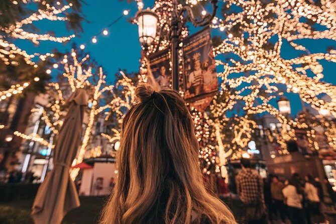 Dallas Christmas Lights Tour - An In-Depth Look at the Dallas Christmas Lights Tour