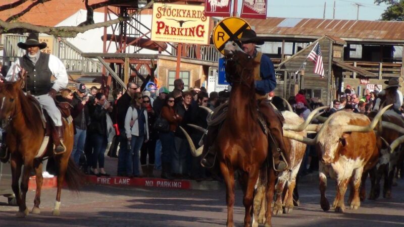 Dallas: City & Fort Worth Combination Tour - The Practical Side: What’s Included and What Not