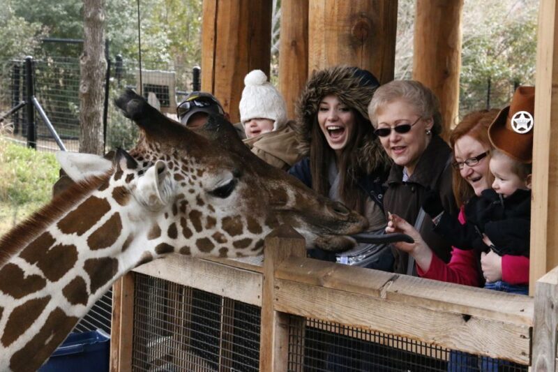 Dallas CityPASS®: Save up to 49% at 4 Top Attractions - FAQ