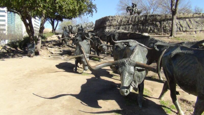 Dallas: Welcome to Dallas 3-Hour Small Group Tour by Van - The Itinerary and What to Expect