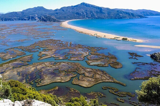 Dalyan Day Trip with Mud Bath and Turtle Beach From Fethiye - FAQs