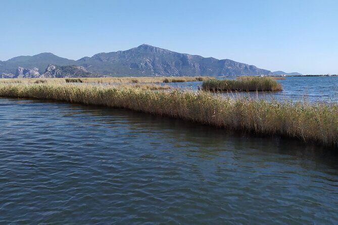 Dalyan Mud Bath and Turtle Beach from Sarigerme - Frequently Asked Questions