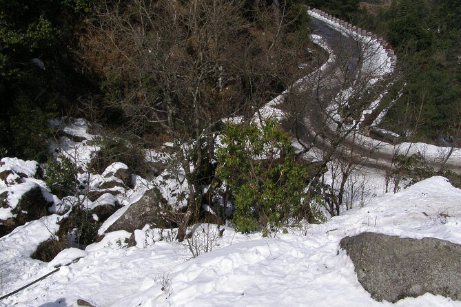 Daman Hill Tour from Kathmandu with Lunch and Guide - Final Thoughts on the Daman Hill Tour