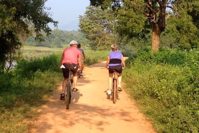 Dambulla and Sigiriya Cycling Tour from Kandy - Final Thoughts