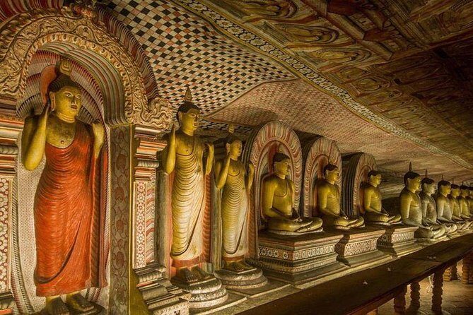 Dambulla & Sigiriya Day Tour from Colombo / Negombo with Lunch - Minneriya National Park: Elephants in the Wild