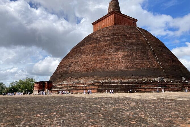 Dambulla to Trincomalee Shuttle & Safari Drive - Snacks & Hydration