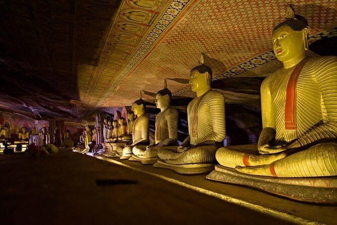 Dambulla to Trincomalee Shuttle & Safari Drive - Who Should Book This Tour?