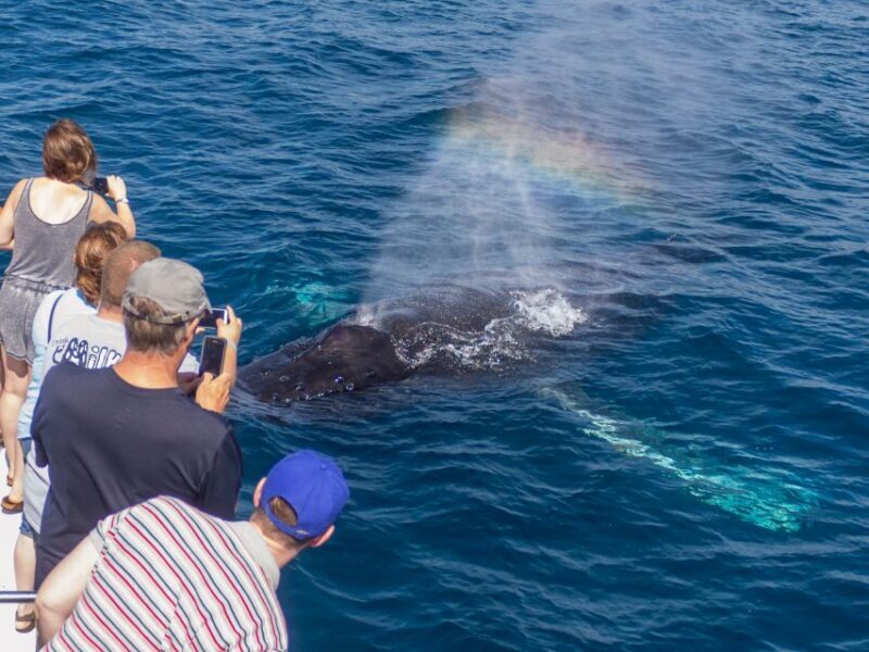 Dana Point Dolphin & Whale Watching With Underwater Viewing - Frequently Asked Questions