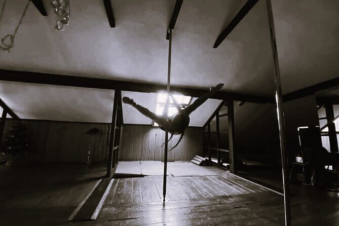 Dance Class (choose 1: Pole Dance, Burlesque or Aerial Silk/Hoop) - Who Should Book This?