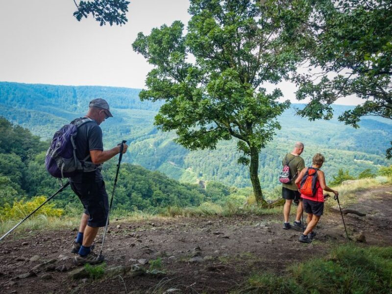 Danube Bend: Full-Day Hiking Tour from Budapest - An Authentic Experience with Scenic Rewards