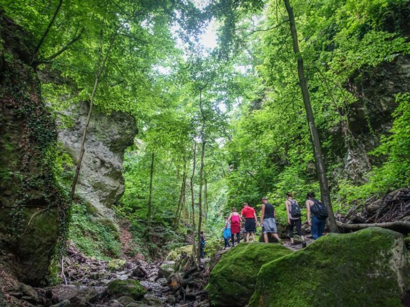 Danube Bend: Full-Day Hiking Tour from Budapest - Overall Value and Experience