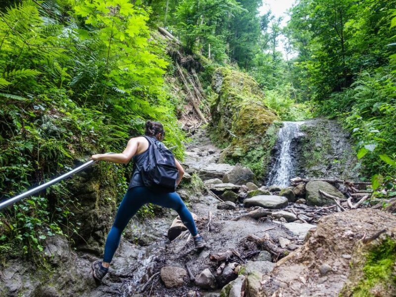 Danube Bend: Full-Day Hiking Tour from Budapest - FAQ