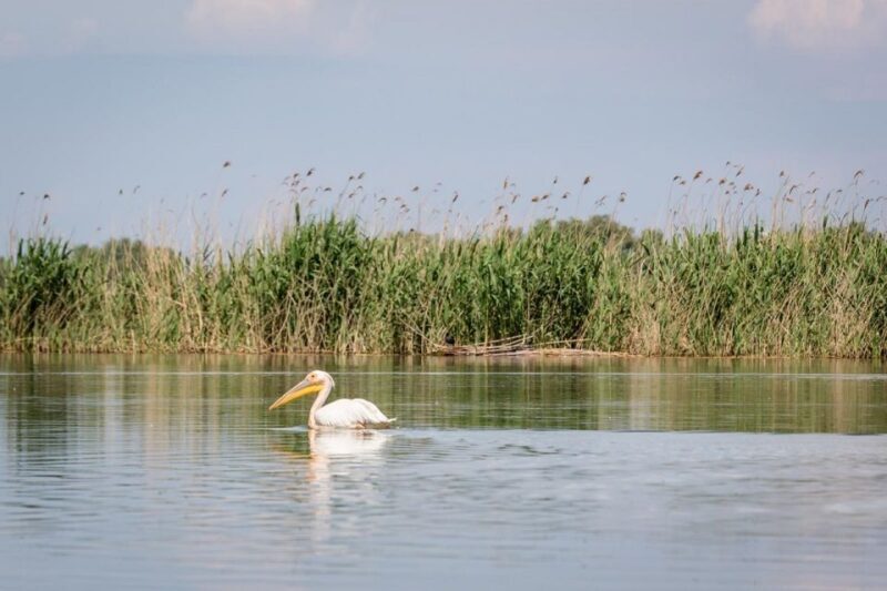 Danube Delta - 2-Day Tour from Bucharest - Who Should Consider This Tour?