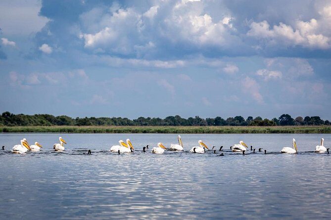 Danube Delta - 2-Days Shared Tour from Bucharest - FAQ