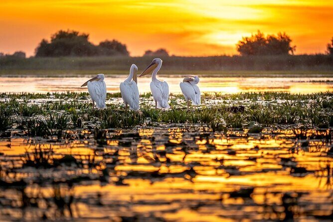 Danube Delta and Black See - 2 Days Private Tour from Bucharest - Final Thoughts