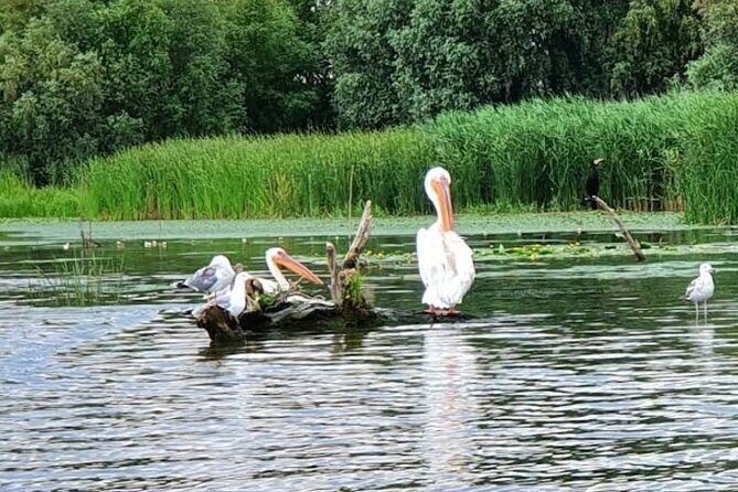 Danube Delta - Private Tour with Boat Trip & Traditional Lunch - Who Is This Tour Best For?