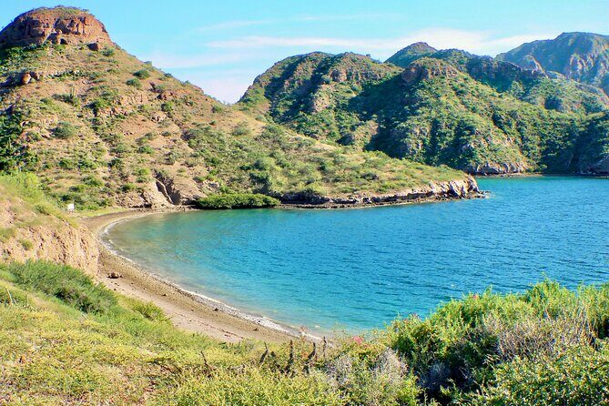 Danzante Island and Snorkel Tour from Villas del Palmar Hotel - The Full Experience: A Detailed Look at the Tour