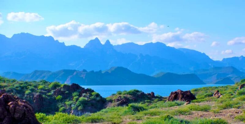 Danzante Island & Snorkel Tour from Villa del Palmar Hotel - A Closer Look at the Tour Experience