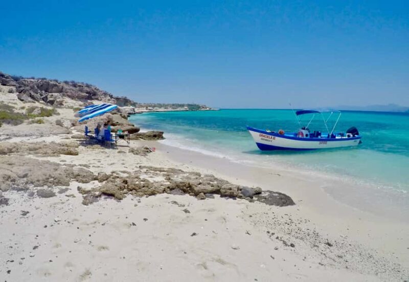 Danzante Island & Snorkel Tour from Villa del Palmar Hotel - Authentic Experiences That Shine