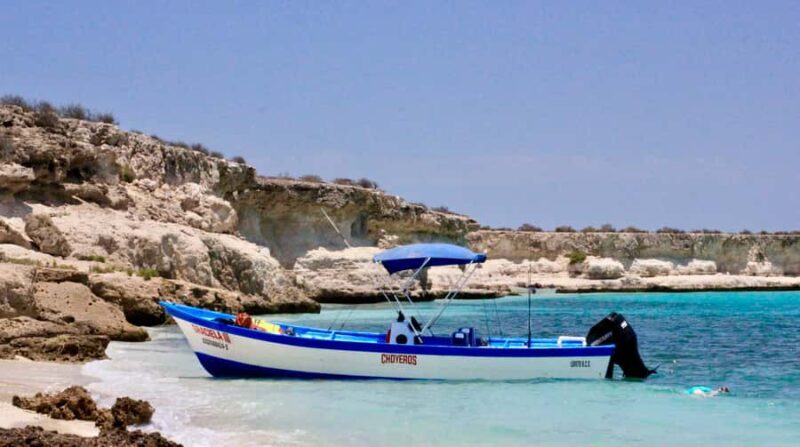 Danzante Island & Snorkel Tour from Villa del Palmar Hotel - Who Will Appreciate This Tour?