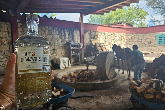 Danzantes Premium Mezcal, Hierve el Agua, Textiles & Lunch - An Overview of the Tour Experience