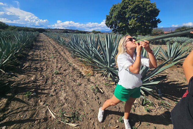 Danzantes Premium Mezcal, Hierve el Agua, Textiles & Lunch - Authentic Experiences That Stand Out