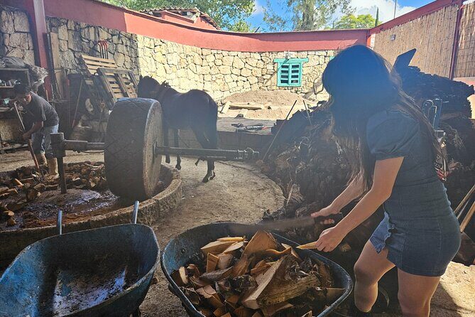 Danzantes Premium Mezcal, Hierve el Agua, Textiles & Lunch - Who Will Appreciate This Tour?