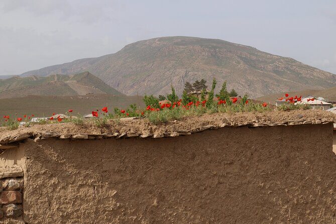 Darband-Boyson Uzbekistan Mountain Trekking 3-Day Private Tour From Samarkand - Who This Tour Is Perfect For