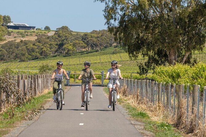d'Arenberg Distilled Tour - Authentic Experiences and Visitor Feedback