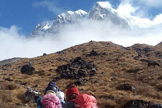 Darjeeling Singhalila Sandakphu Trek - Final Thoughts